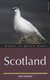 Where to Watch Birds in Scotland